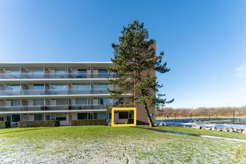 Lichtrijk appartement met terras in groen domein! foto 1