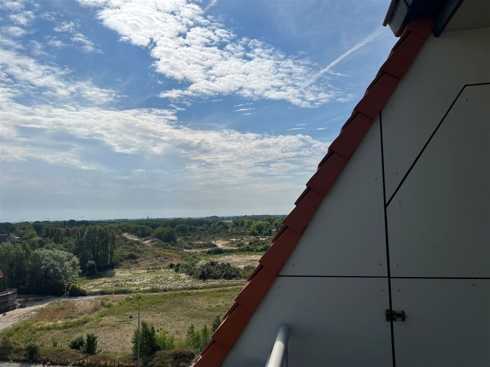 Schitterend dakappartement met unieke uitzichten en groot terras in perfecte staat foto 20