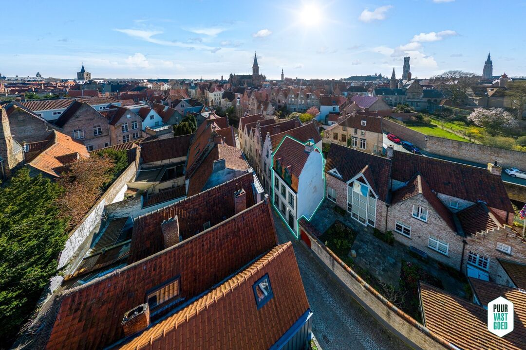 Grondig en duurzaam vernieuwde woning met zonneterras en zicht op de Reien in Brugge centrum! foto 3