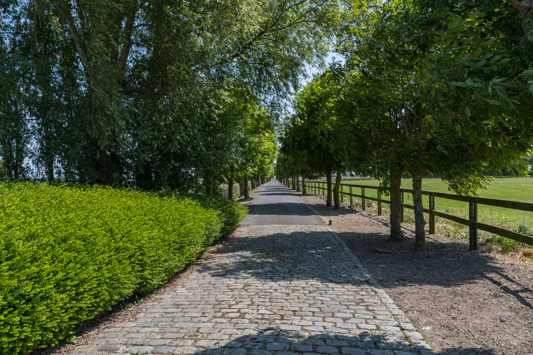 Uniek landgoed te koop in Middelkerke op 3,8 hectare foto 30