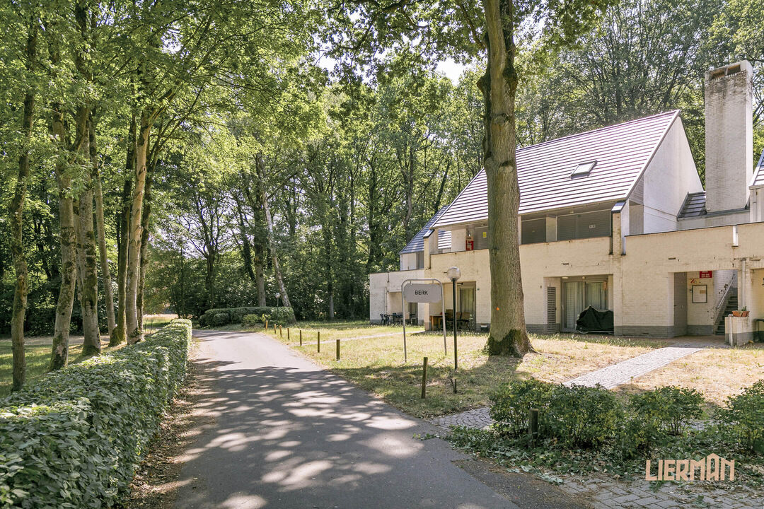 Gezellige vakantie- appartement in het mooie Limburg foto 16