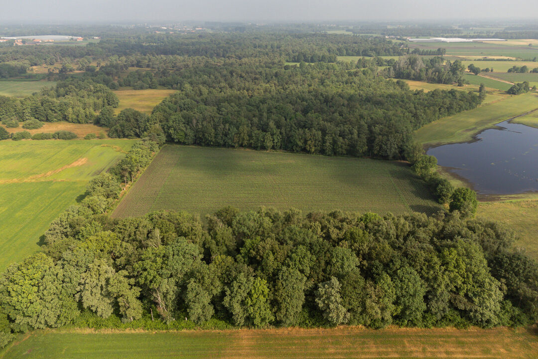 Bosgrond met weiland van ca 35.791 m². foto 9