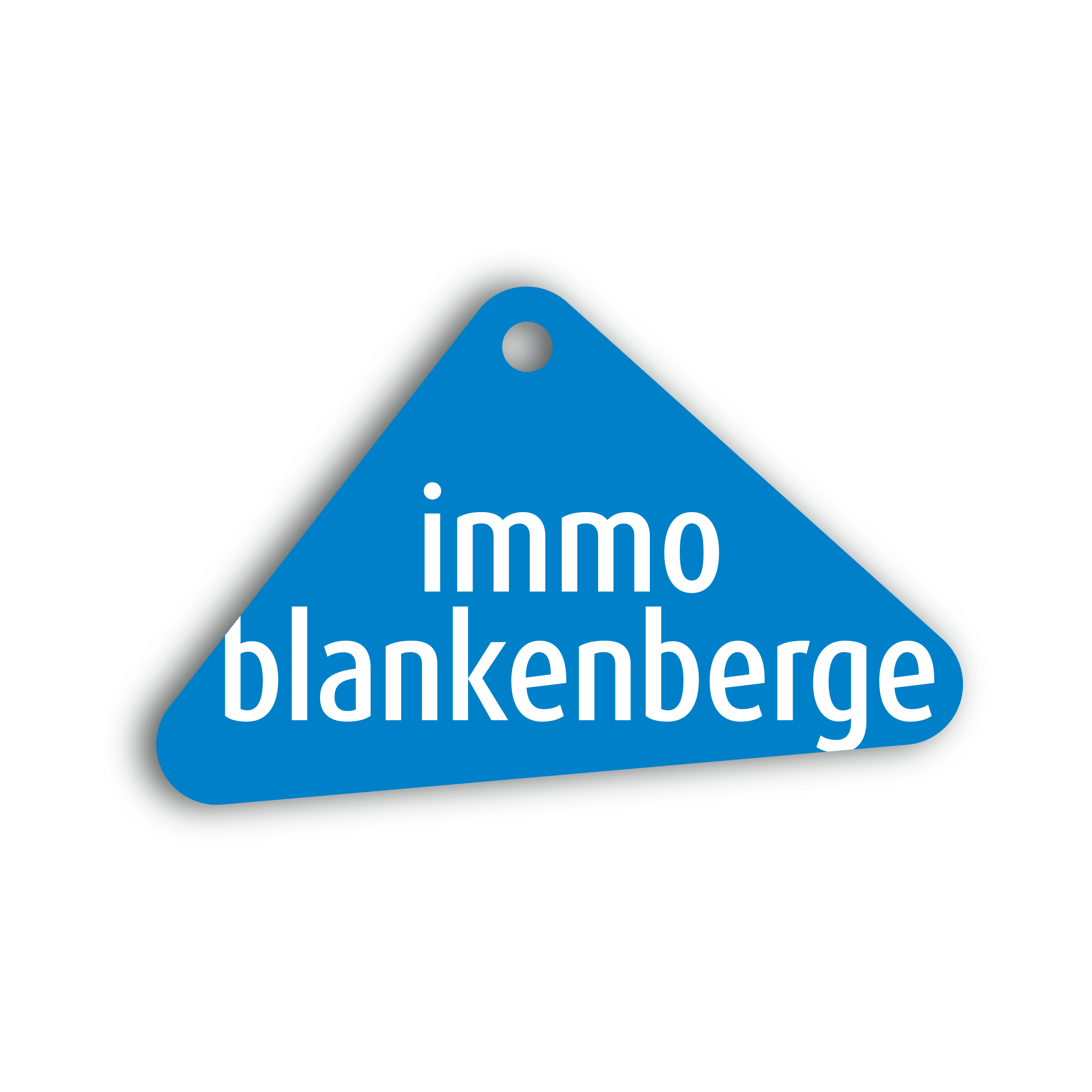 Logo van immo blankenberge