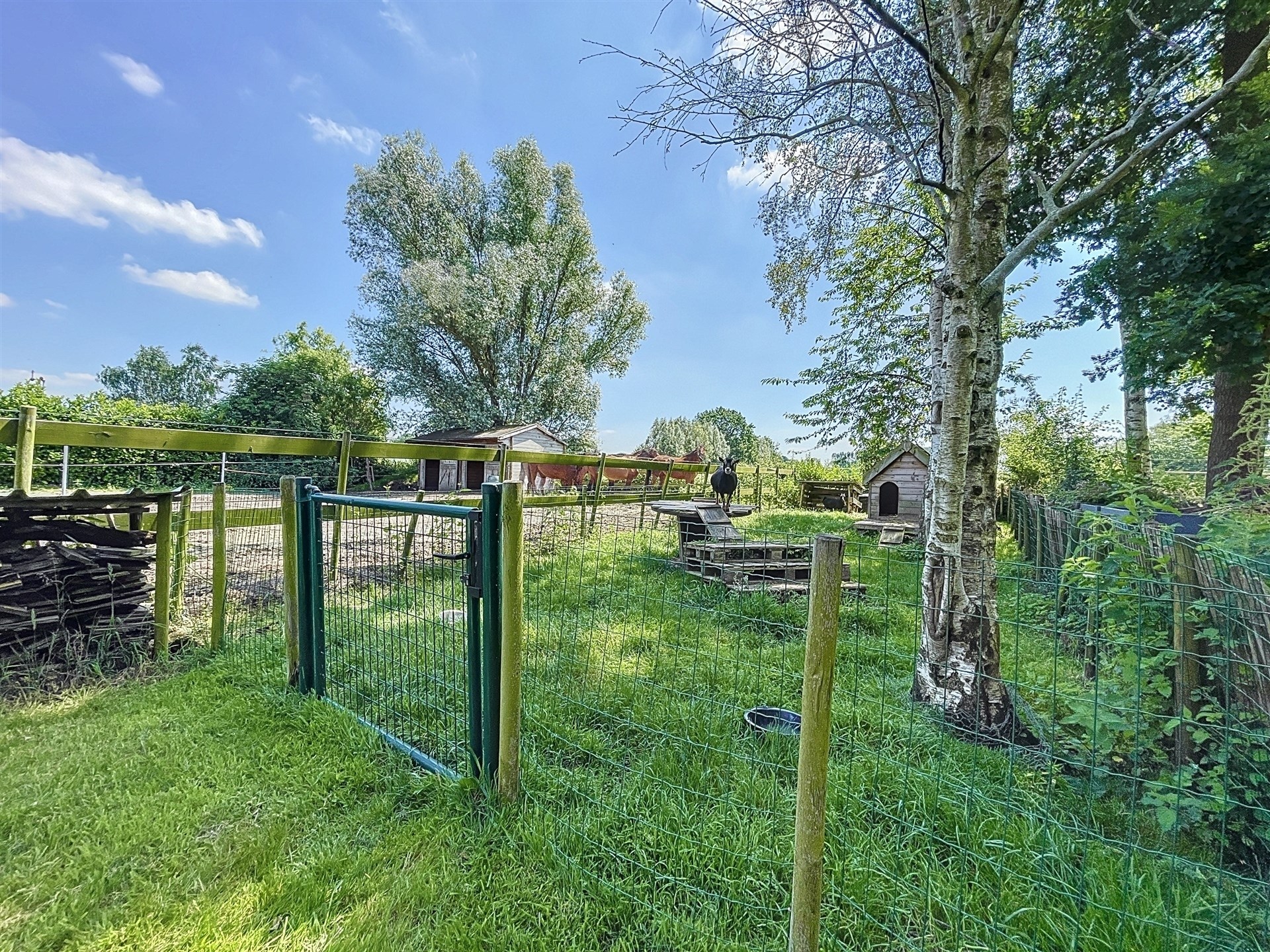 Instapklare woning met garage en zuidgerichte tuin in Nieuwkerken op perceel van 435m² foto 11