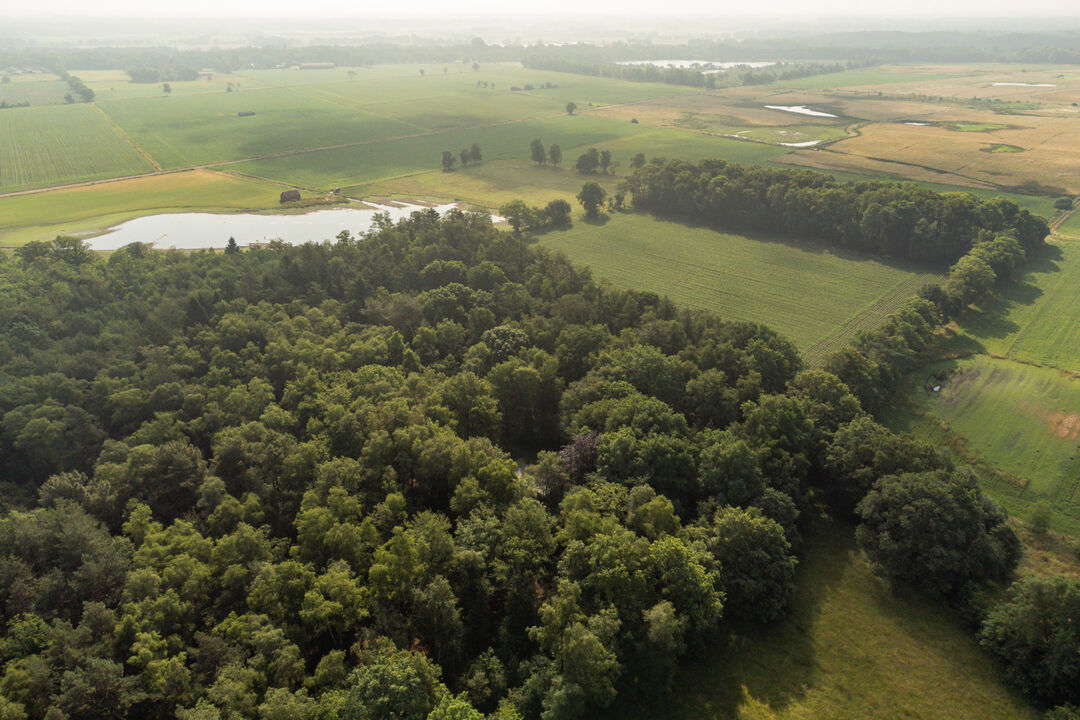 Bosgrond met weiland van ca 35.791 m². foto 10