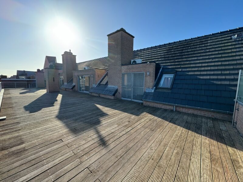 Instapklaar penthouse met riant terras (+-287m²), centrum Geel! foto 9