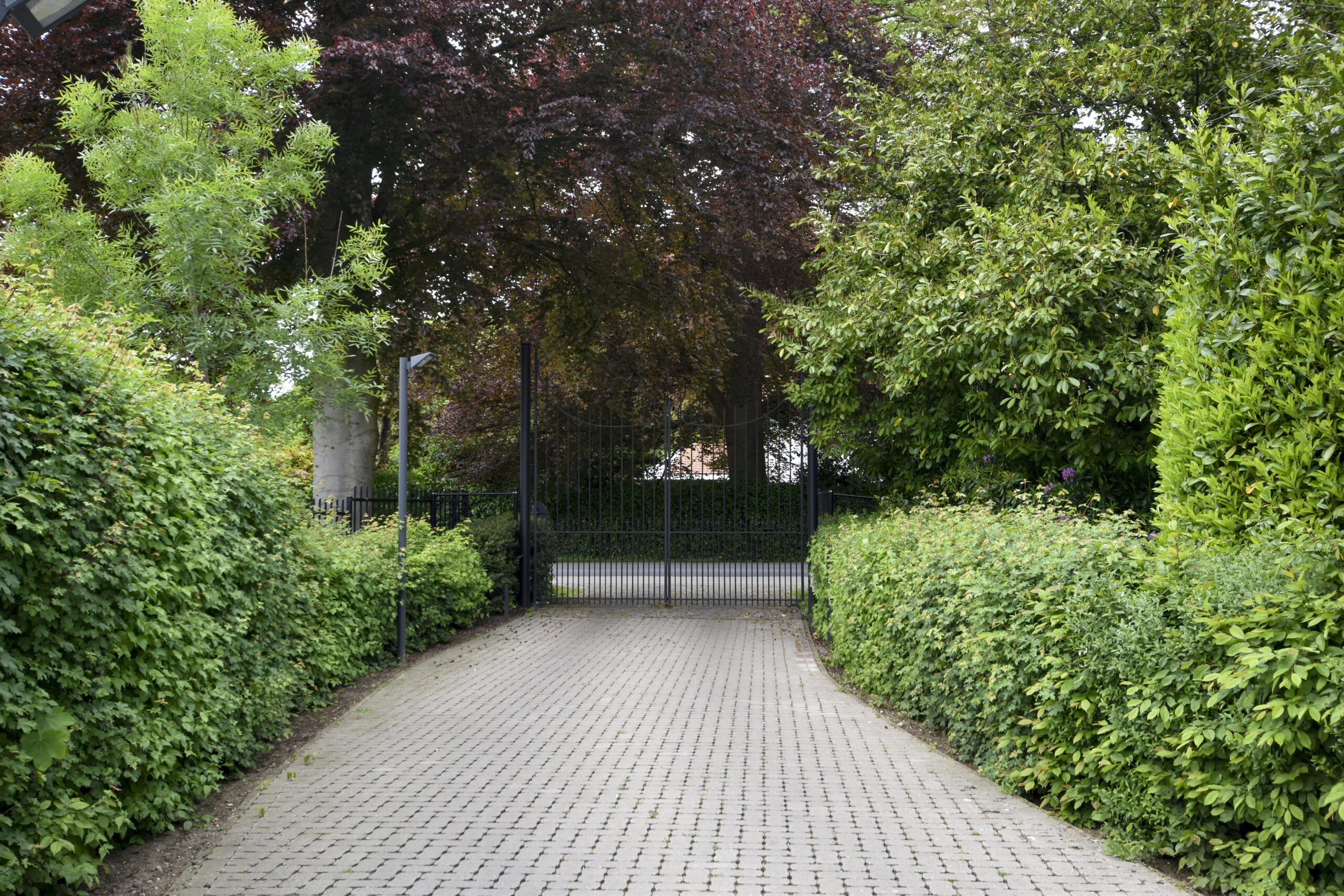 Gelijkvloers appartement met zuidgerichte tuin in Sint-Niklaas foto 4