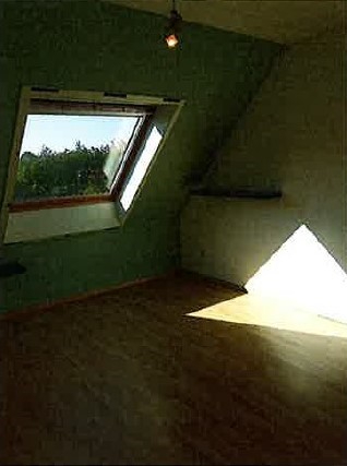 Lichtrijk dakappartement met 1 slaapkamer foto 8