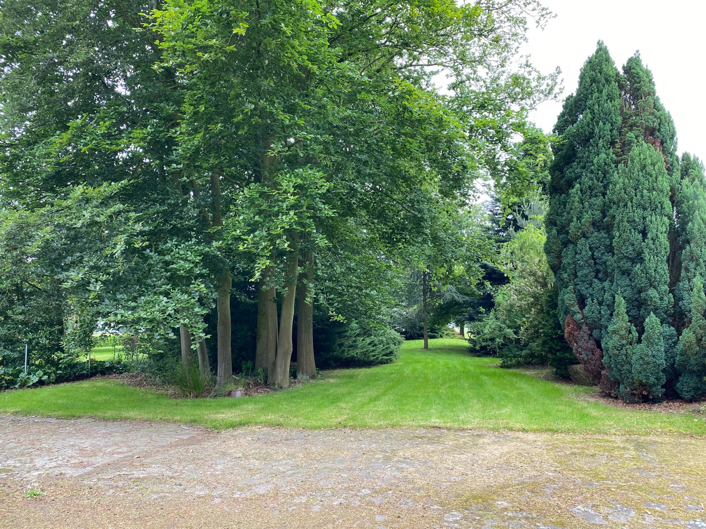 Hoeve met stallingen, bijhuis en grote schuur op een ruim perceel in Lembeke foto 4