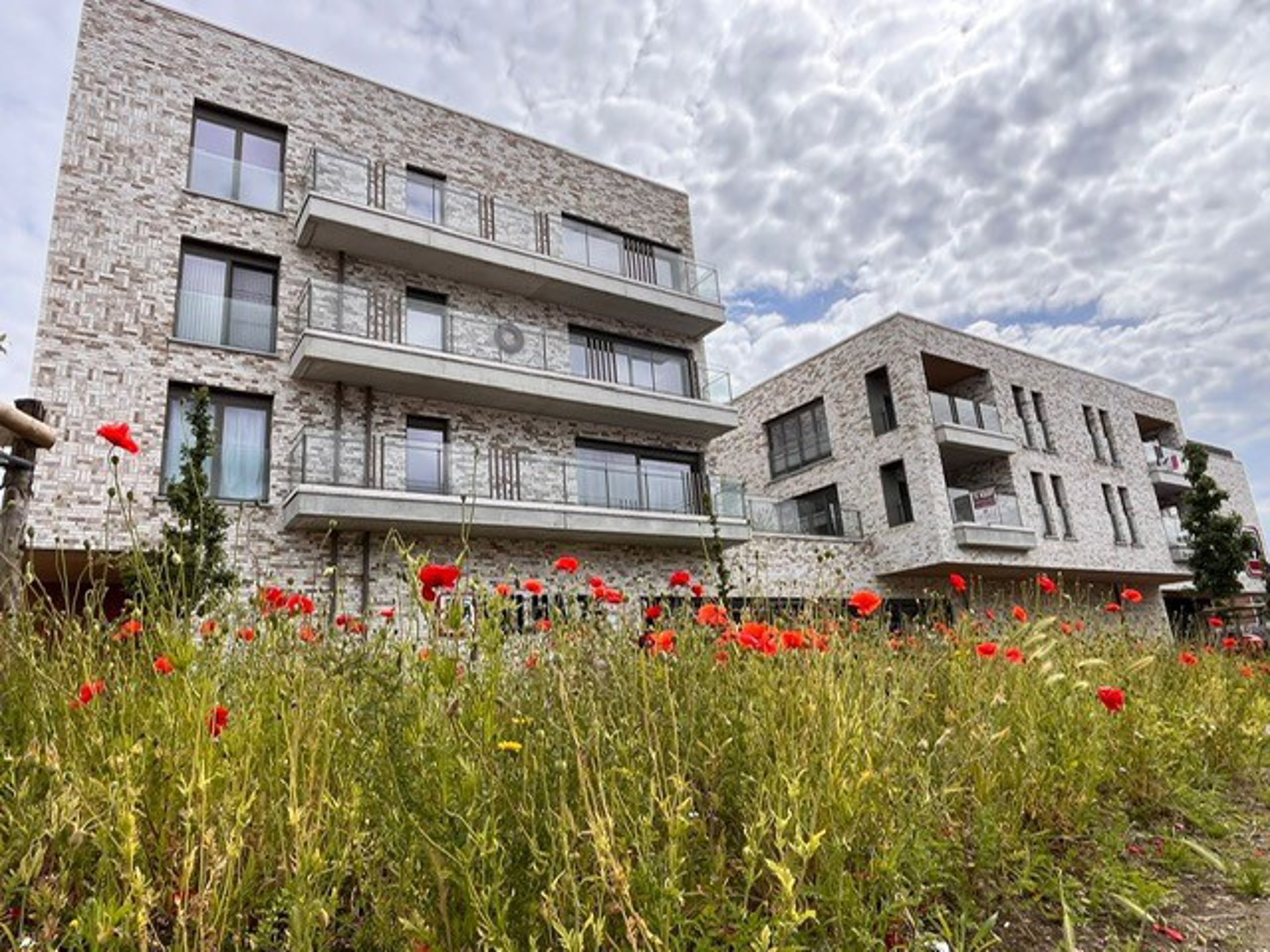 Nieuwbouwappartement - 2 slaapkamers - ruim terras  foto 12