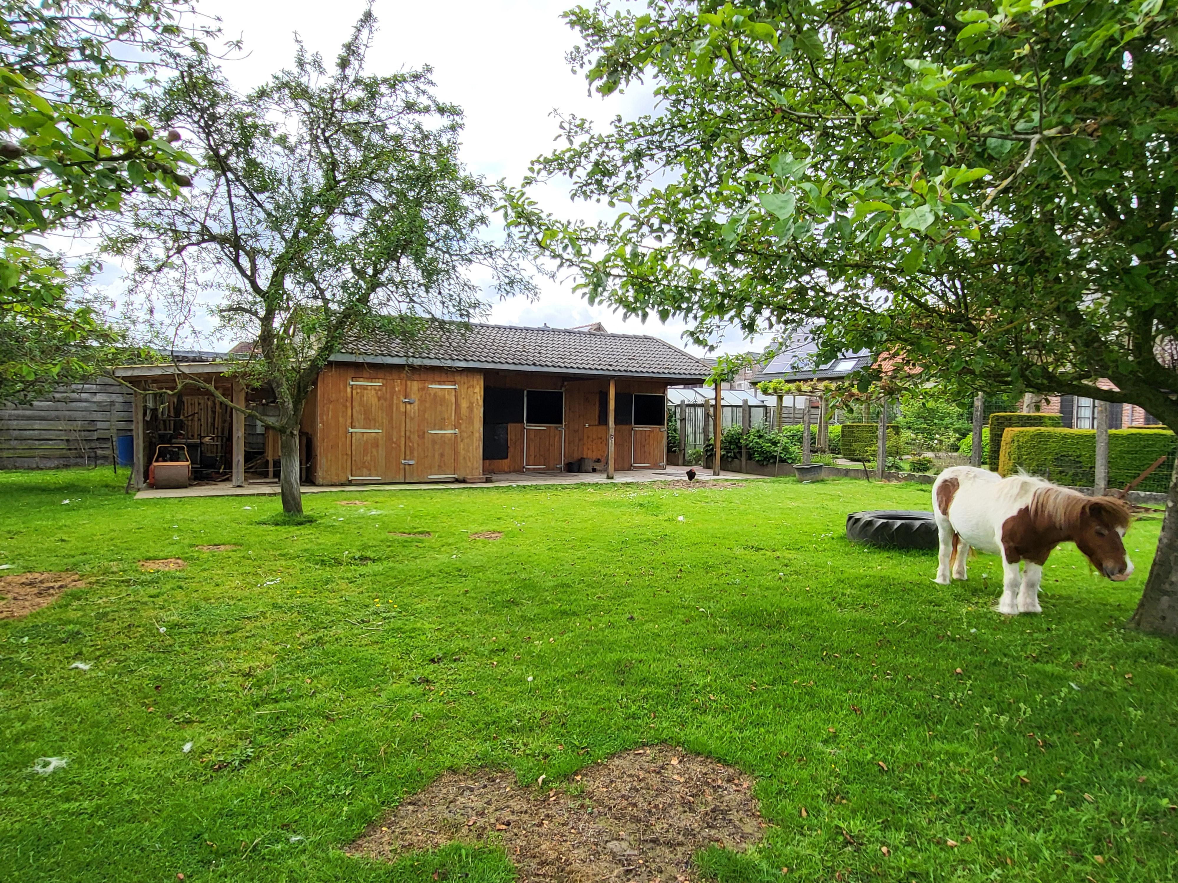 Prachtig landelijk gelegen woning op 1582m² met panoramisch uitzicht,  aangelegde tuin en paardenstal voor 2 paarden.  foto 14