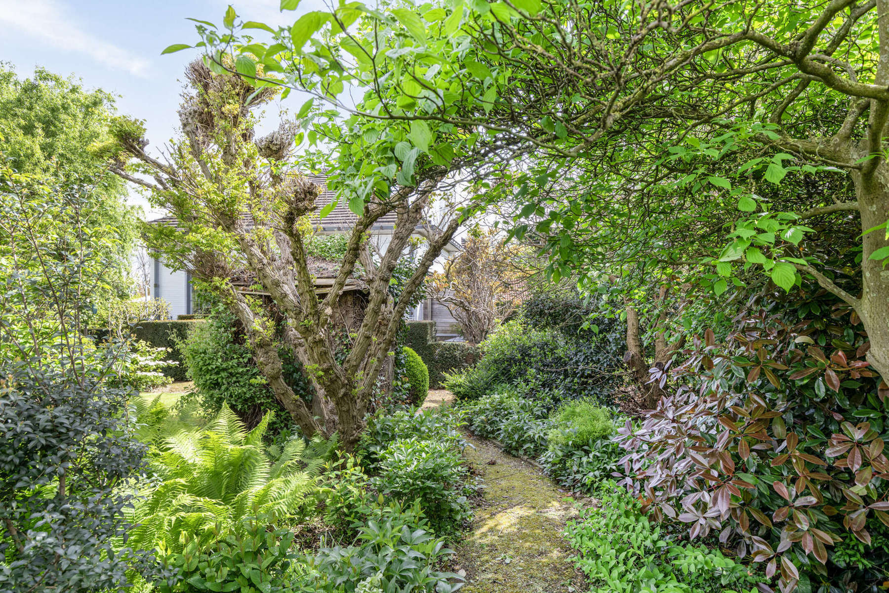 Gerenoveerde villa met knappe tuin te koop. foto 31