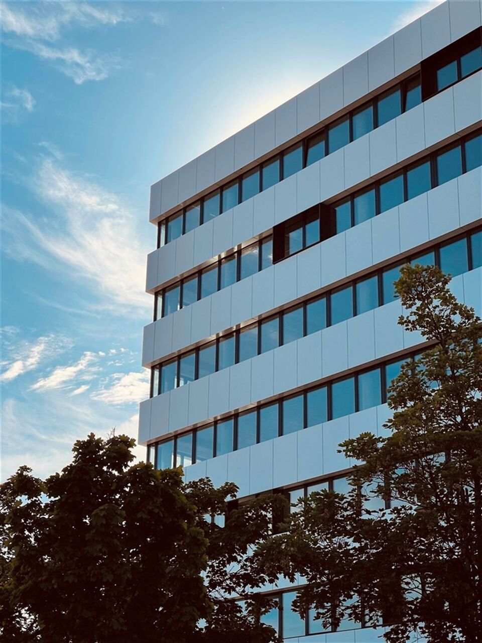 WHITE ANGLE: modulaire kantoren te huur vanaf 250m² foto 4