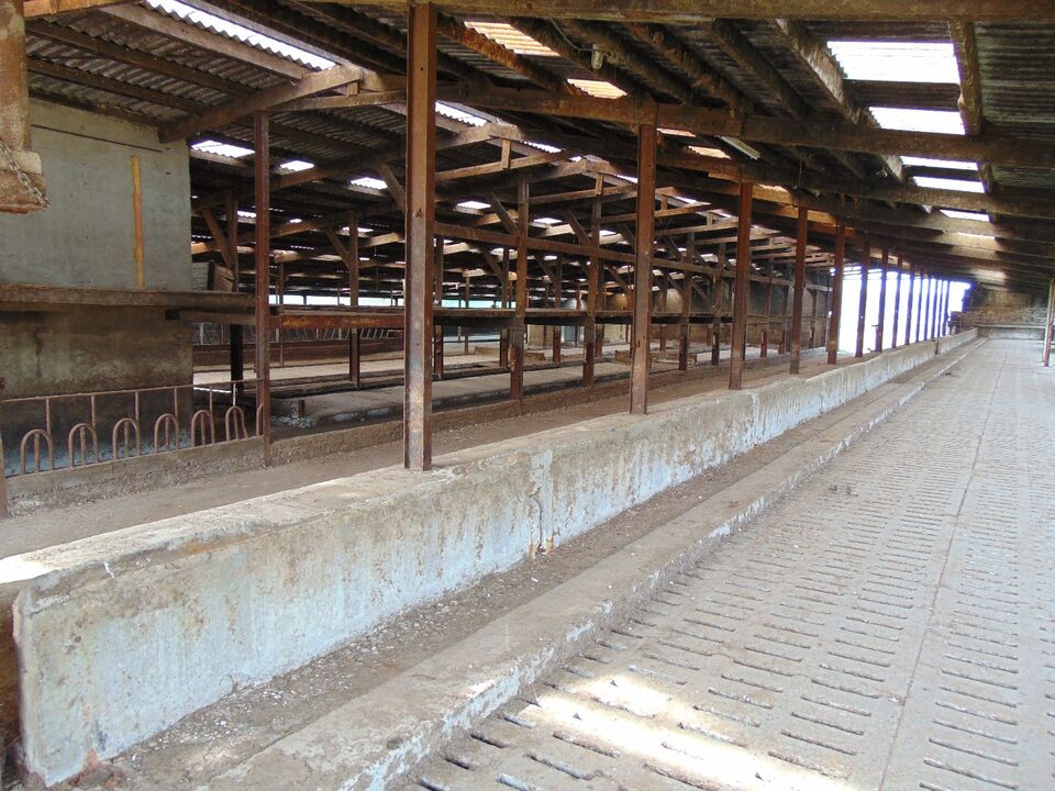 Landbouwbedrijf met stallen, mestputten en silo op ca 1.15ha foto 31