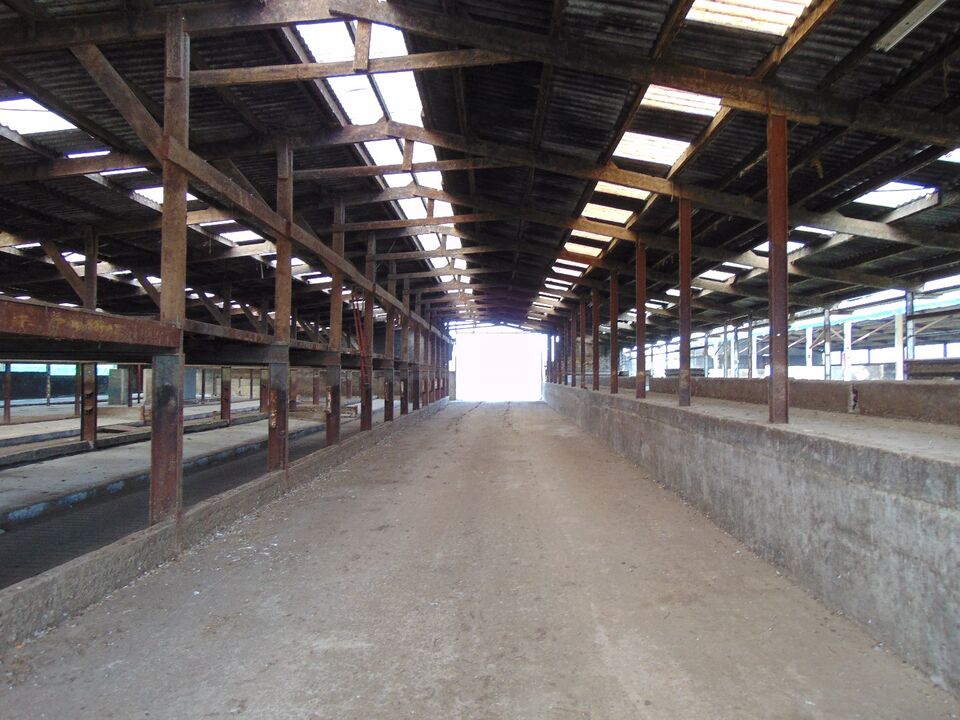 Landbouwbedrijf met stallen, mestputten en silo op ca 1.15ha foto 39