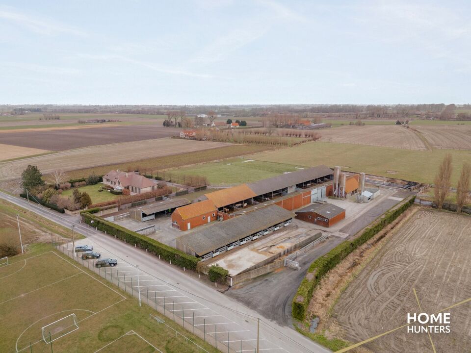 Bedrijfssite op 1,3 HA met 2450 m² aan stalgebouwen en 300 m² bedrijfswoning te Oeren (Alveringem) foto 23