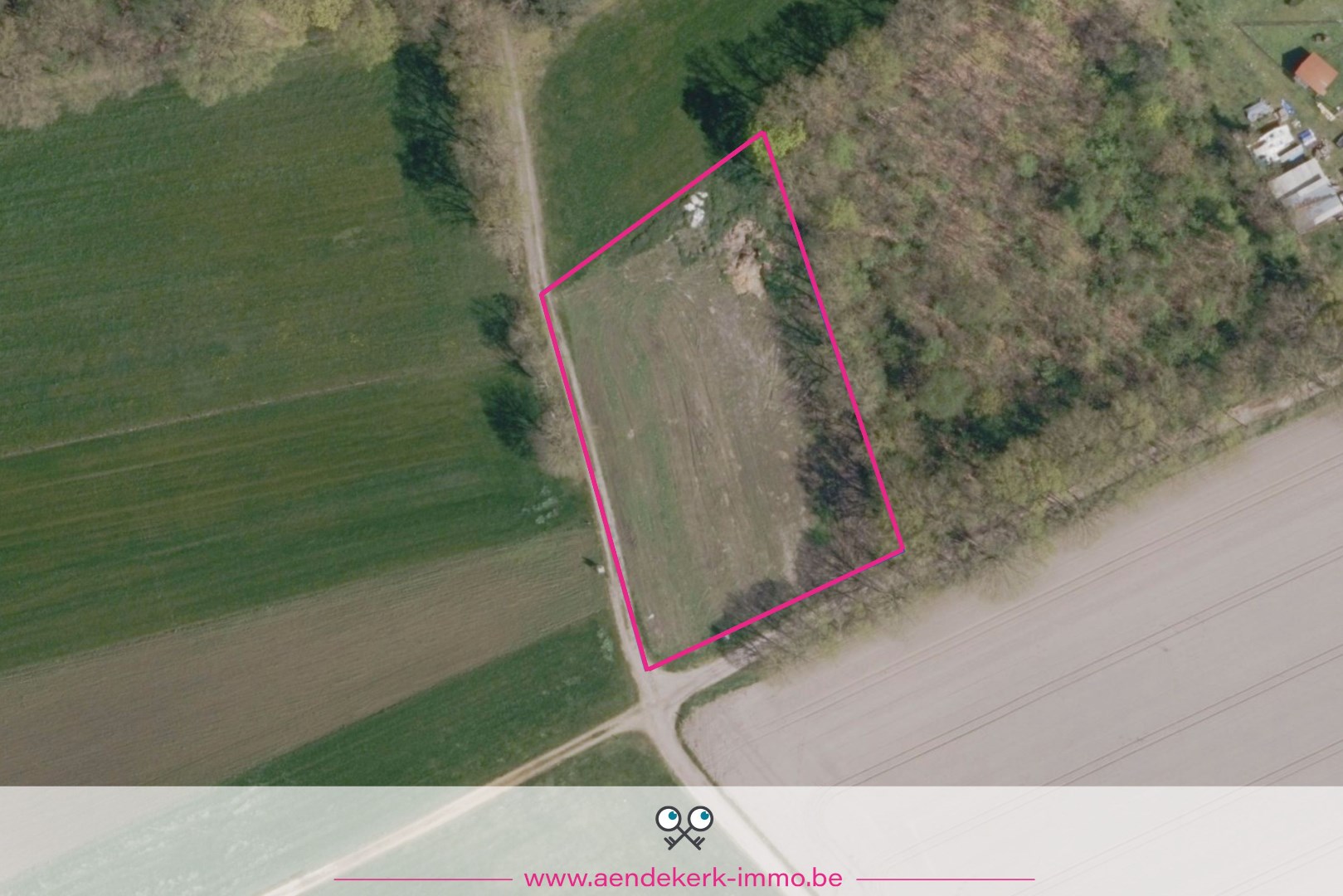 Perceel landbouwgrond (3219 m²) in Molenbeersel foto 2