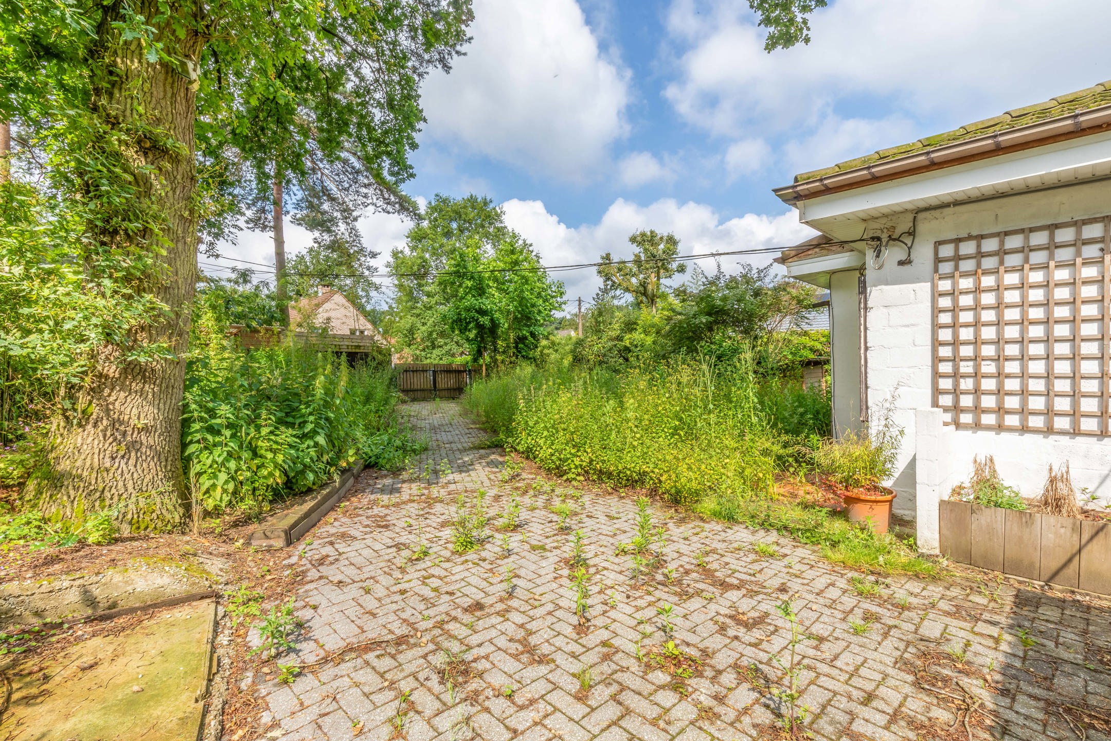 Bouwgrond met Exotische Tuin en Vele Mogelijkheden foto 10