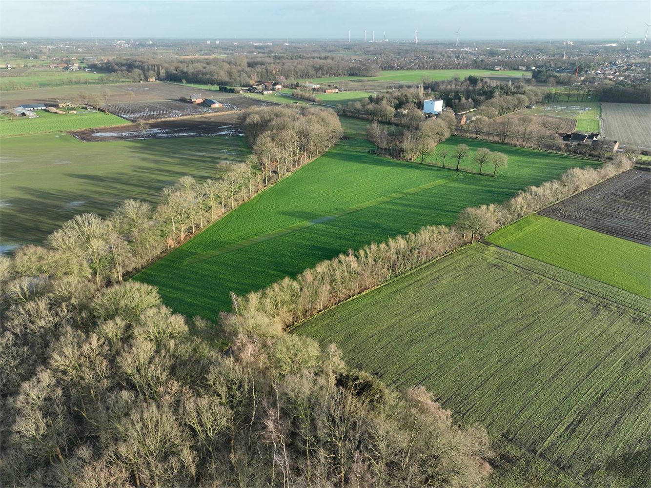 Perceel landbouwgrond van ca 5 hectare te Noorderwijk foto 3