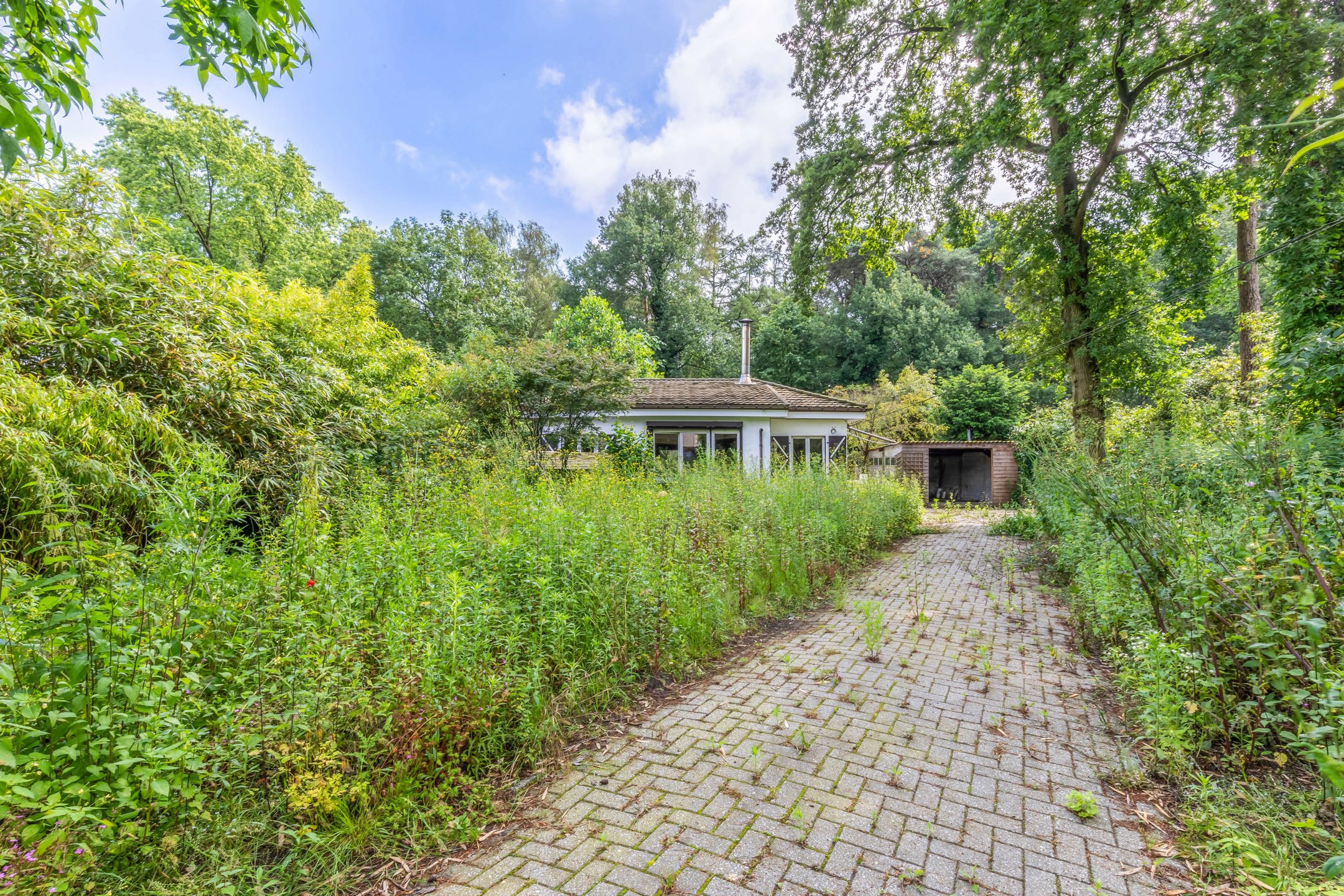 Bouwgrond met Exotische Tuin en Vele Mogelijkheden foto 6