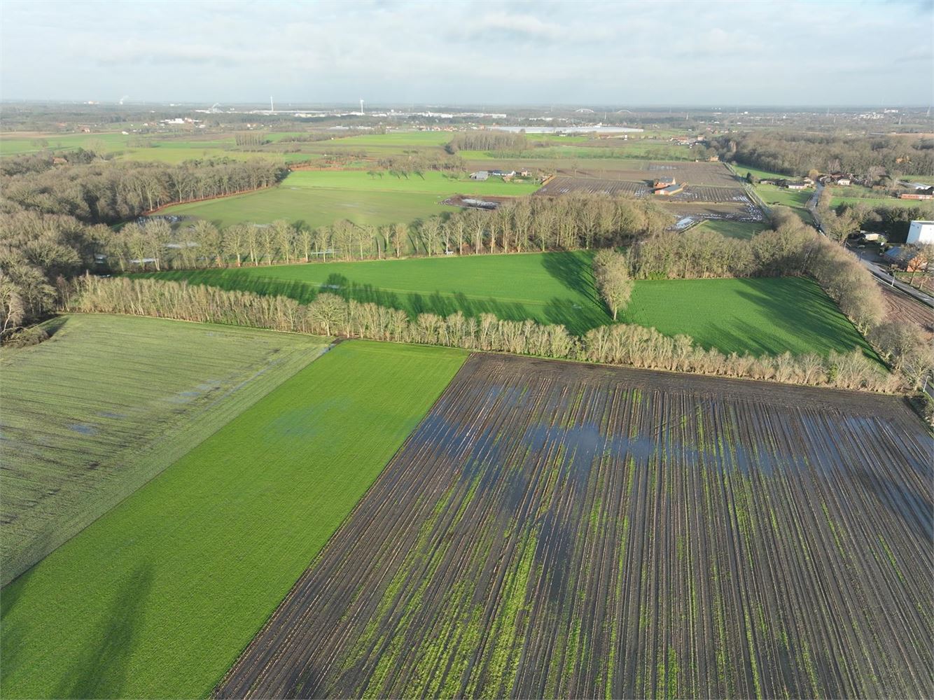 Perceel landbouwgrond van ca 5 hectare te Noorderwijk foto 4