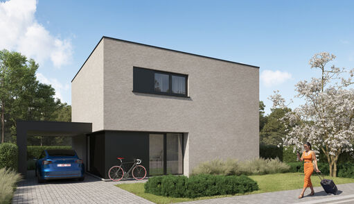 Huis te koop Avelgemstraat - 9690 Kluisbergen Ruien