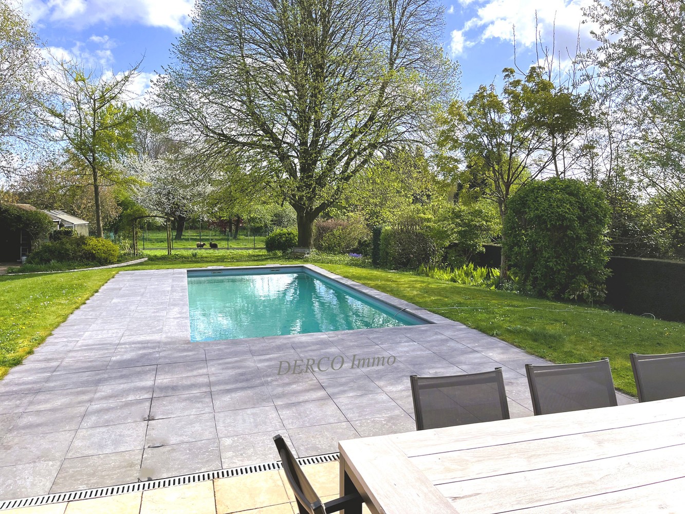 instapklare villa op 38 are, met mooie boomgaard / weide en zwembad foto 4