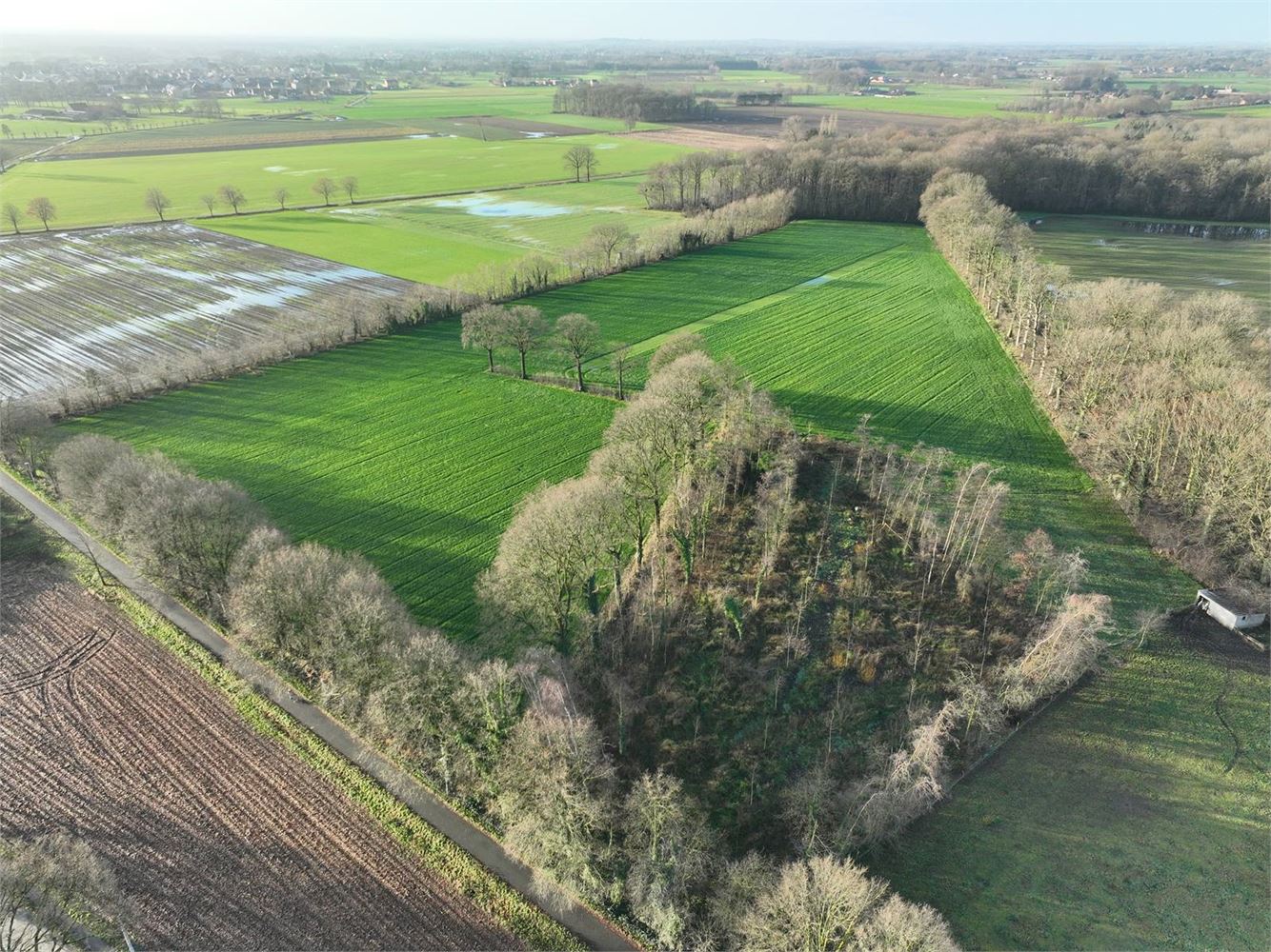 Perceel landbouwgrond van ca 5 hectare te Noorderwijk foto 5