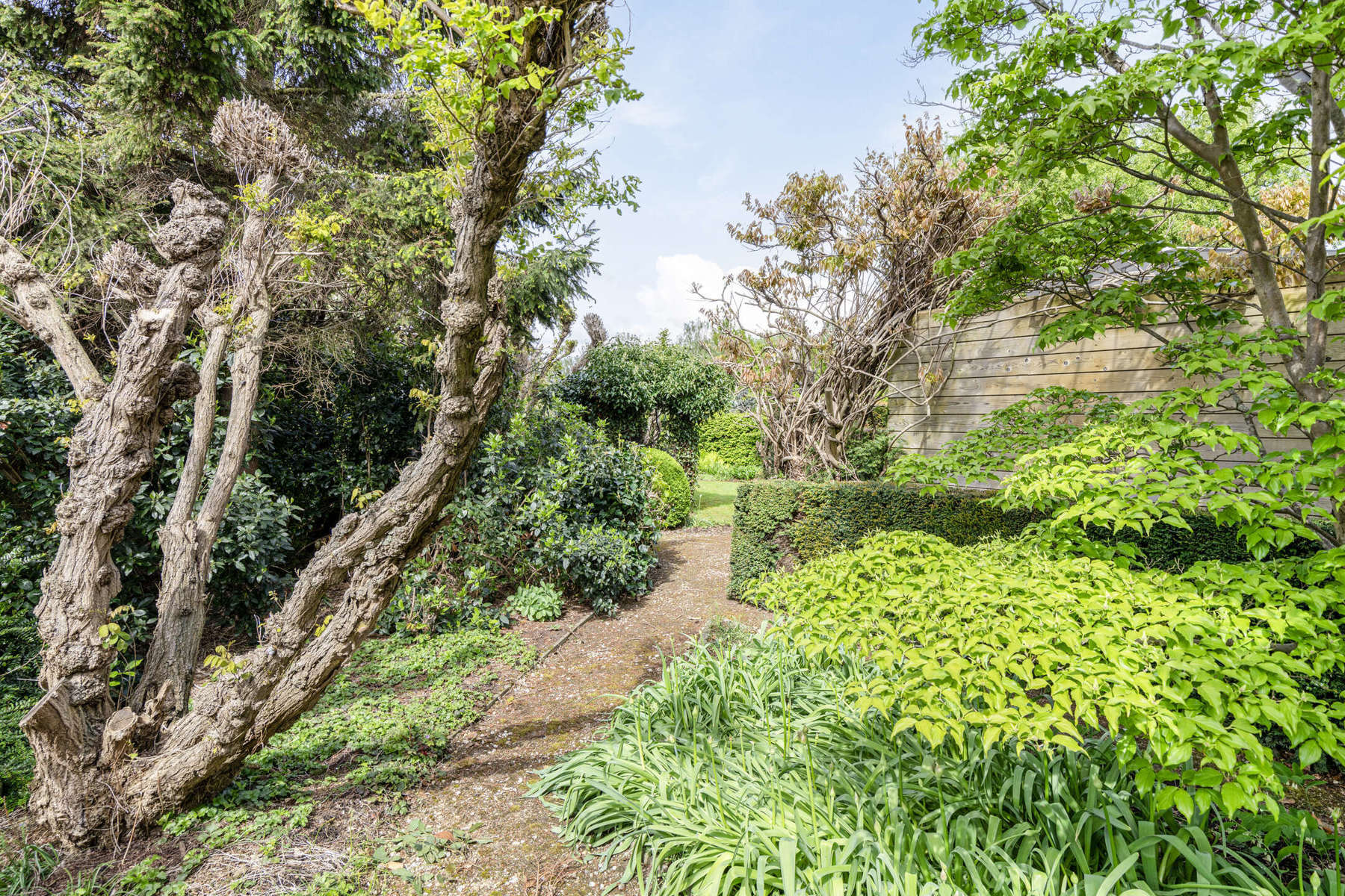 Gerenoveerde villa met knappe tuin te koop. foto 32