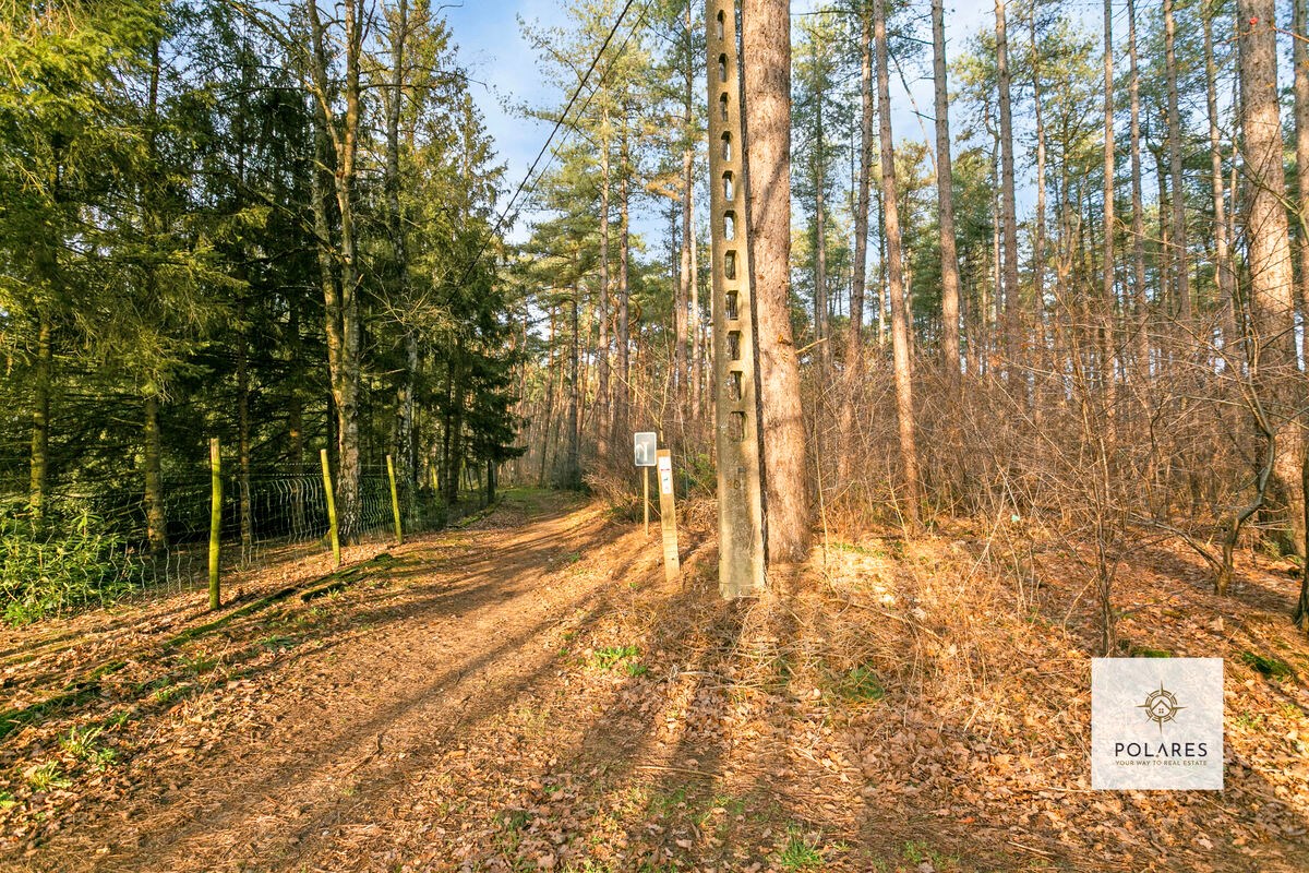 Bouwen aan 6% op een grond voor open bebouwing in het bosrijke Herselt foto 4