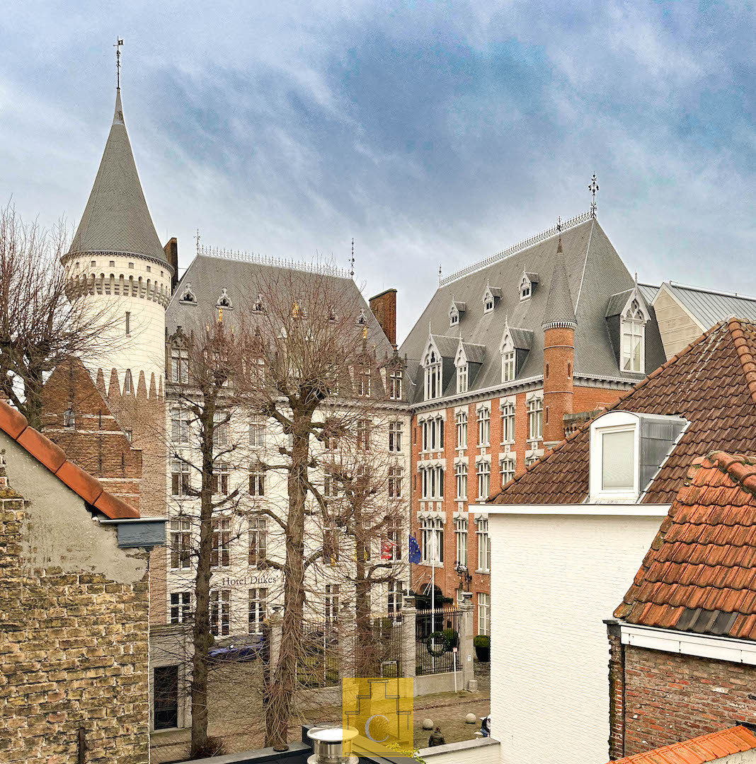 Droomligging ! 16e-17e eeuws breedhuis met stadstuin en fietsenpoortje, hartje Brugge, vlakbij het Prinsenhof foto 5