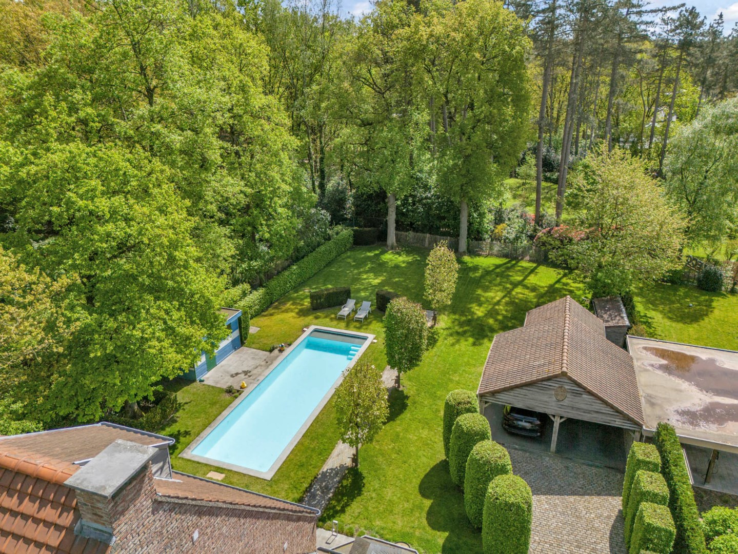 Villa met zwembad en stijlvolle tuin, dubbele carport en 5 slaapkamers in Genk, Gelieren.  EPC-energielabel B, zuidelijke tuinoriëntatie, 5 slaapkamers, 3 badka foto 6