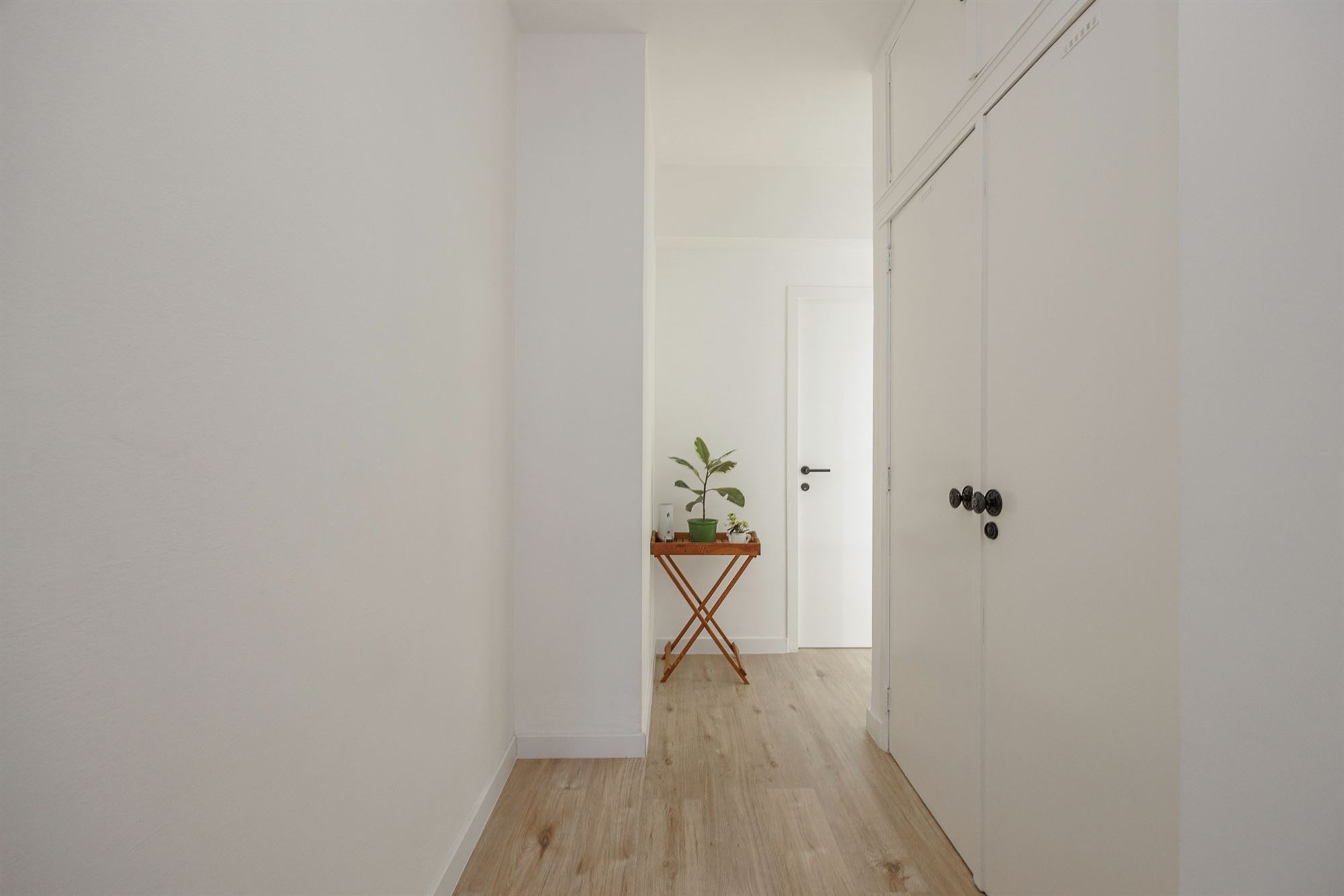 Gelijkvloers appartement met terras en 2 slpks centrum Wilrijk foto 7
