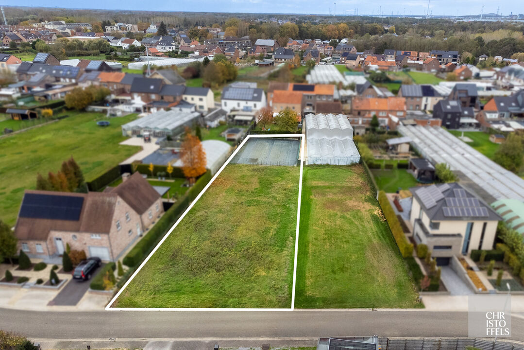Bouwkavel (1.452 m²) voor een open bebouwing in Munsterbilzen!   foto 6