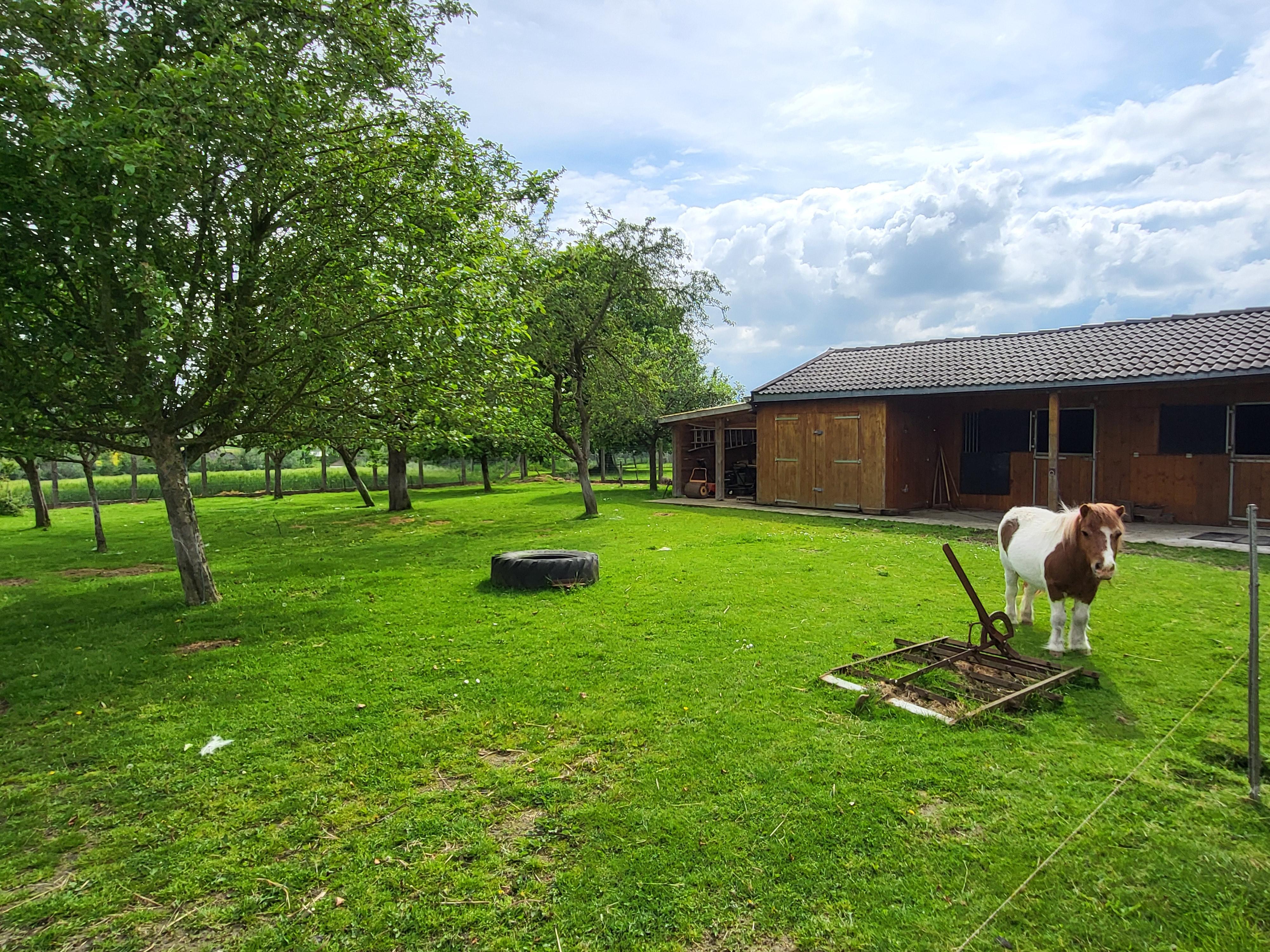 Prachtig landelijk gelegen woning op 1582m² met panoramisch uitzicht,  aangelegde tuin en paardenstal voor 2 paarden.  foto 11