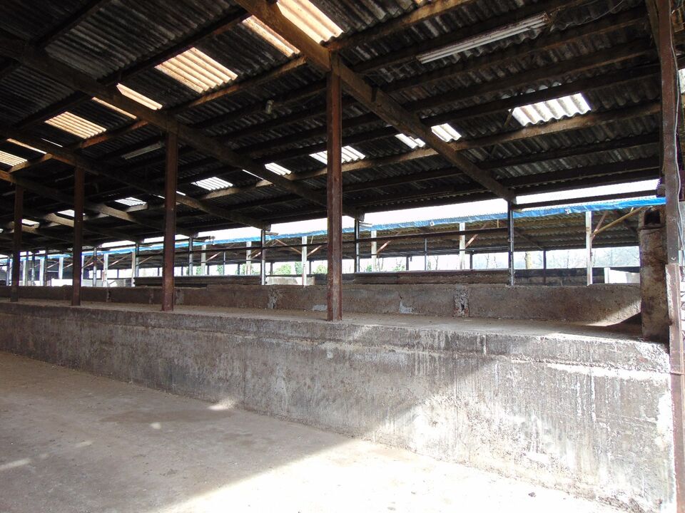 Landbouwbedrijf met stallen, mestputten en silo op ca 1.15ha foto 38