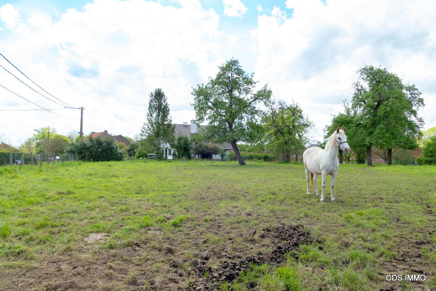 Vier moderne halfopen woningen  foto 14