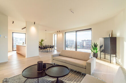 Penthouse te koop