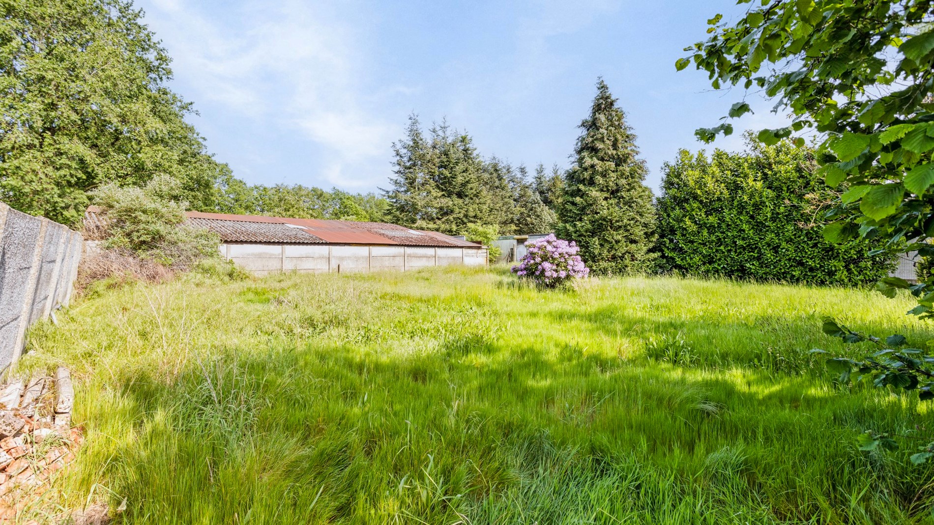 Vrijstaande woning met veel potentieel op 18,5a te Herselt. foto 20