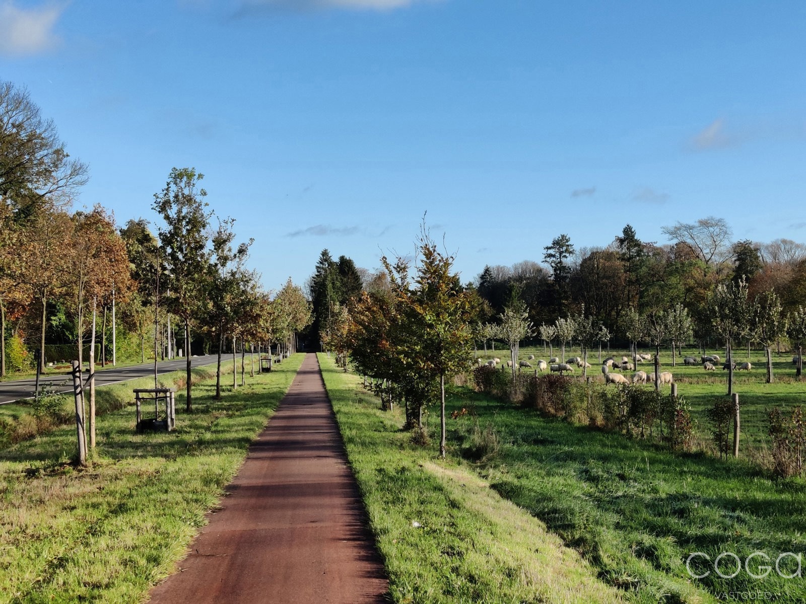 bouwgrond in een mooie groene omgeving foto 6