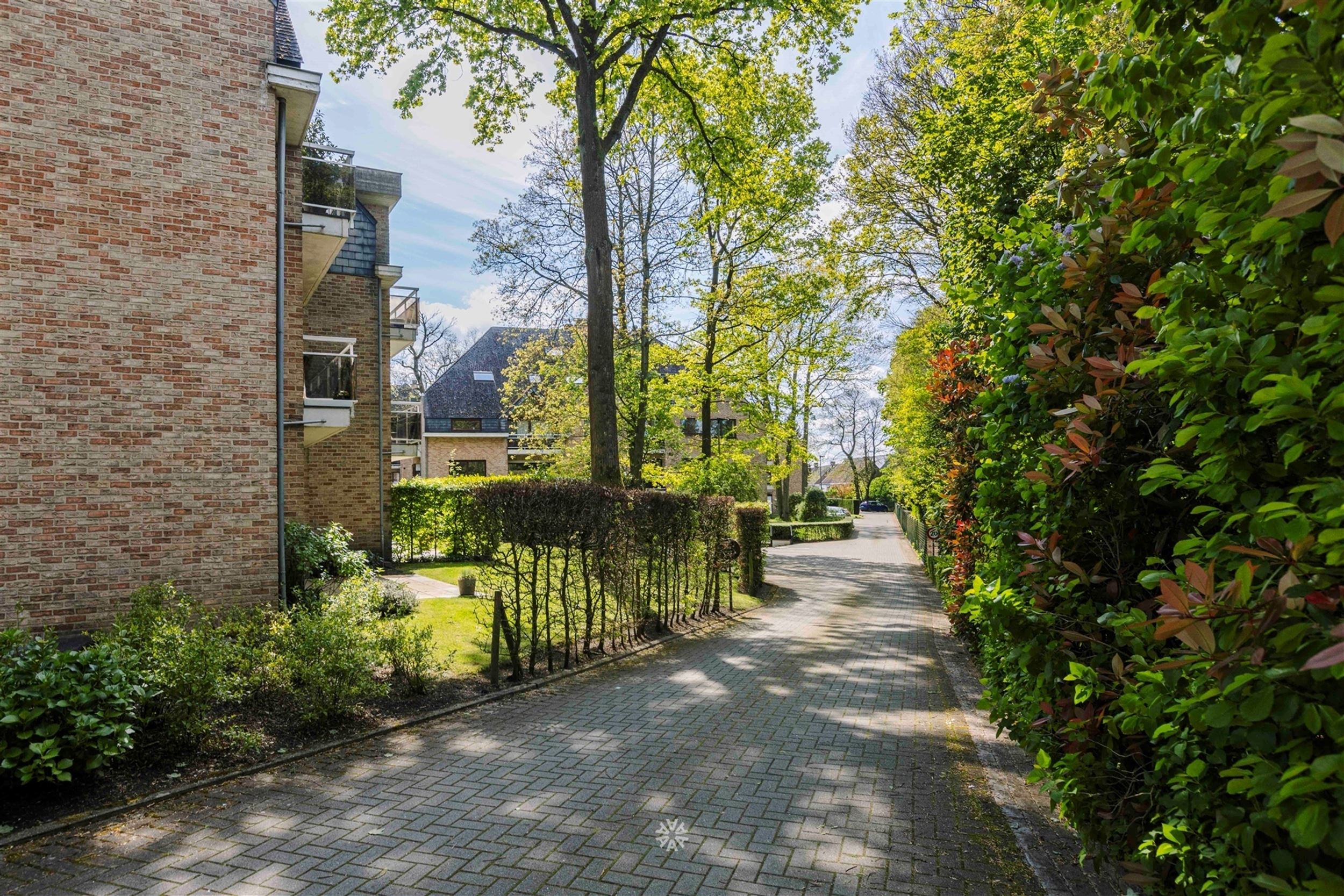 Gelijkvloers appartement met terras op exclusief domein te koop in Heusden foto 3