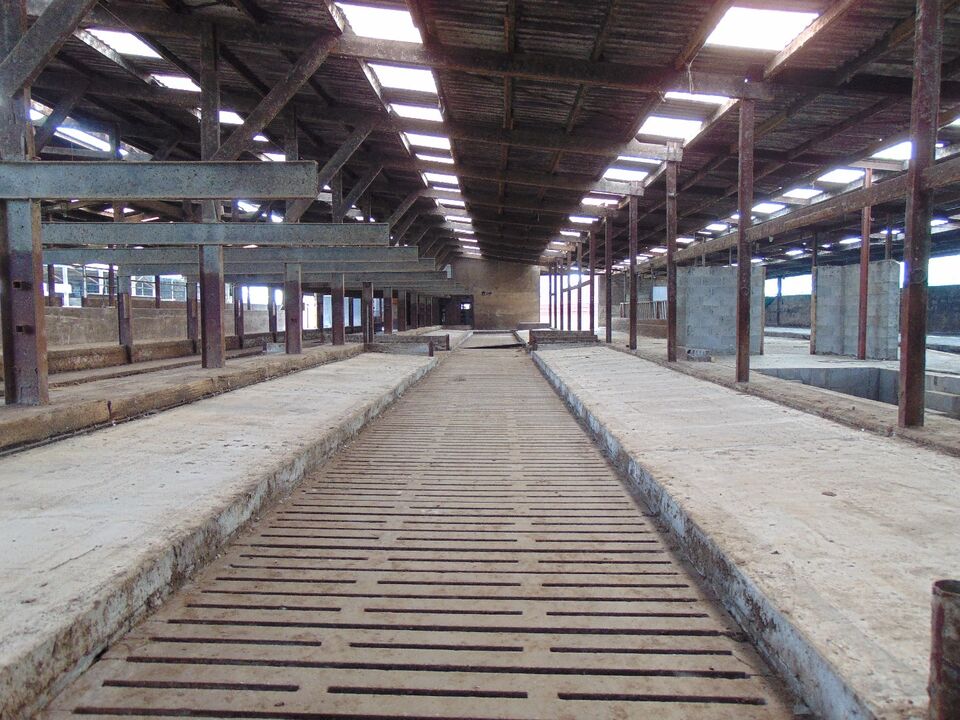Landbouwbedrijf met stallen, mestputten en silo op ca 1.15ha foto 44