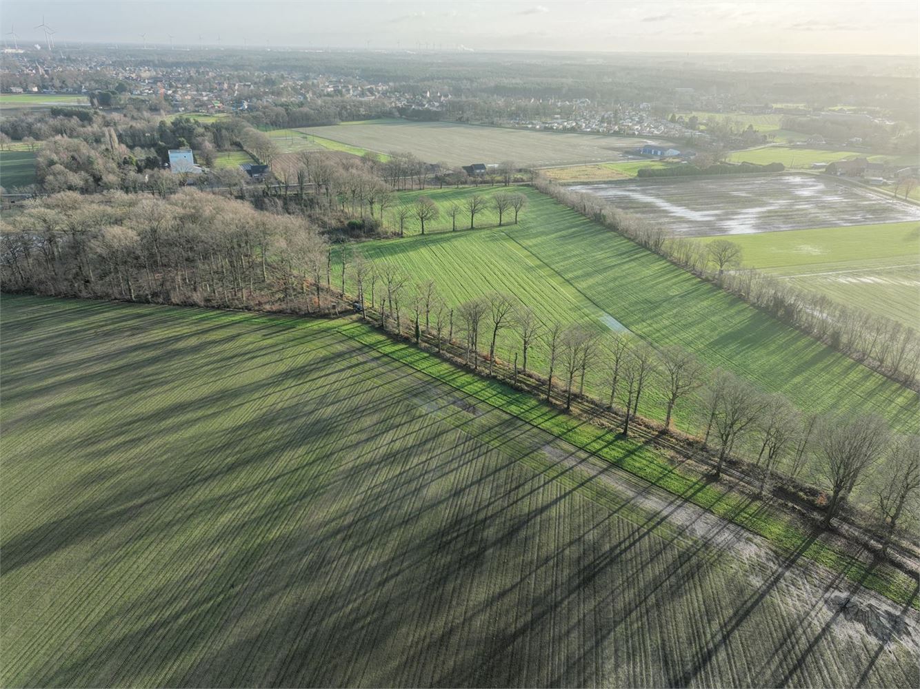 Perceel landbouwgrond van ca 5 hectare te Noorderwijk foto 2