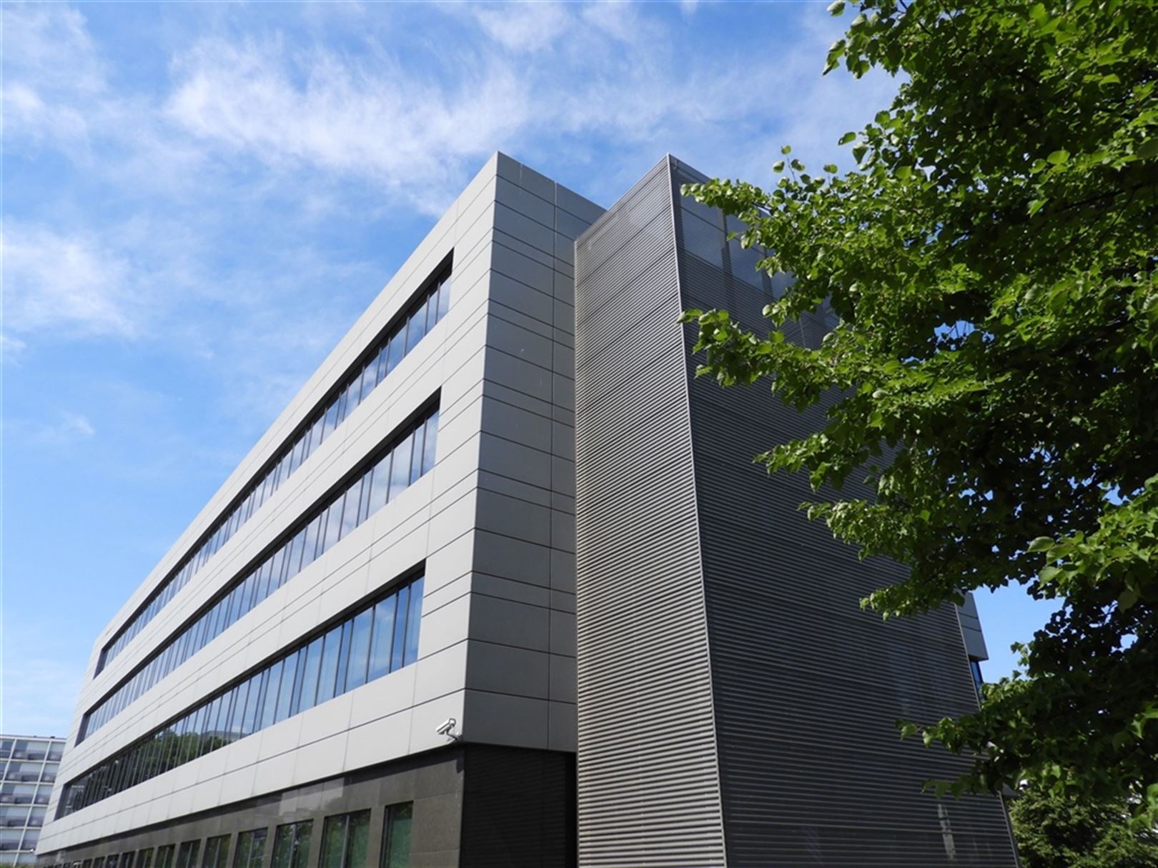BERKENLAAN 3: kantoorgebouw strategisch in Diegem gelegen met beschikbare oppervlaktes vanaf ong. 600m² tot ong. 1.300m² foto 3