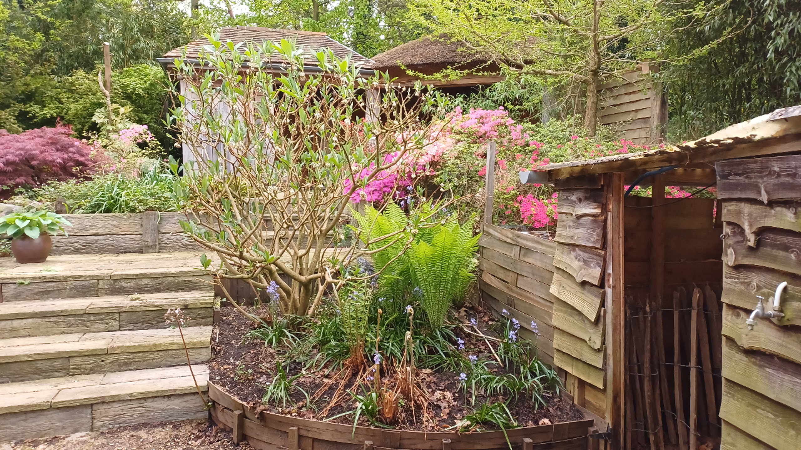 Te renoveren Woning met Exotische Tuin en Vele Mogelijkheden foto 26