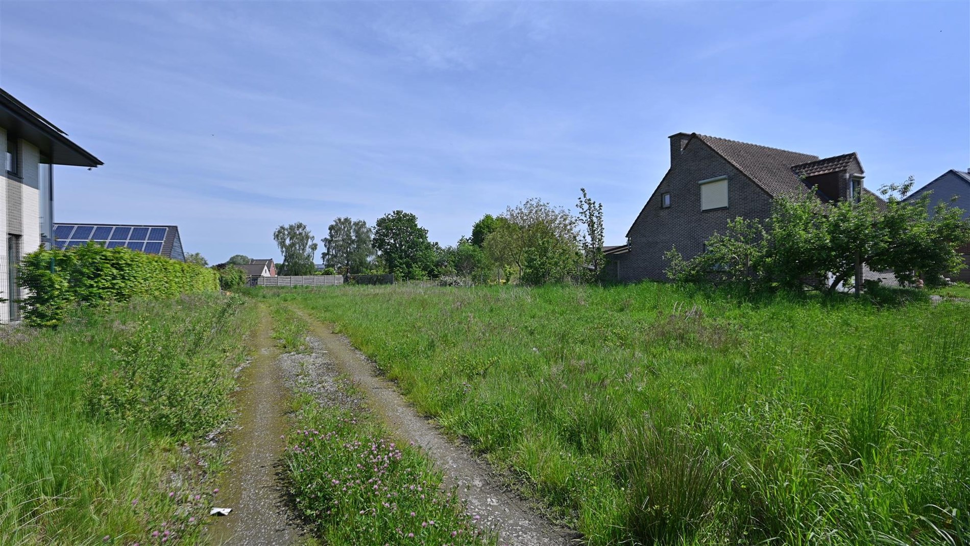 Gunstig gelegen bouwgrond OB van 11a09ca te Begijnendijk foto 2