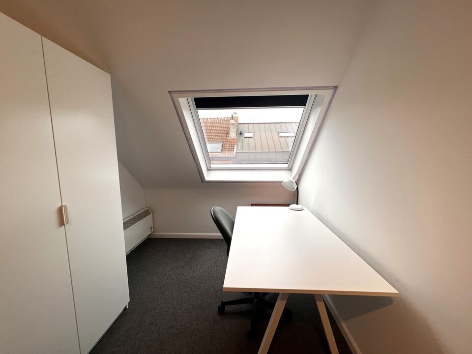Duplexstudio met aparte slaapkamer gelegen op goede locatie in centrum Leuven foto 12