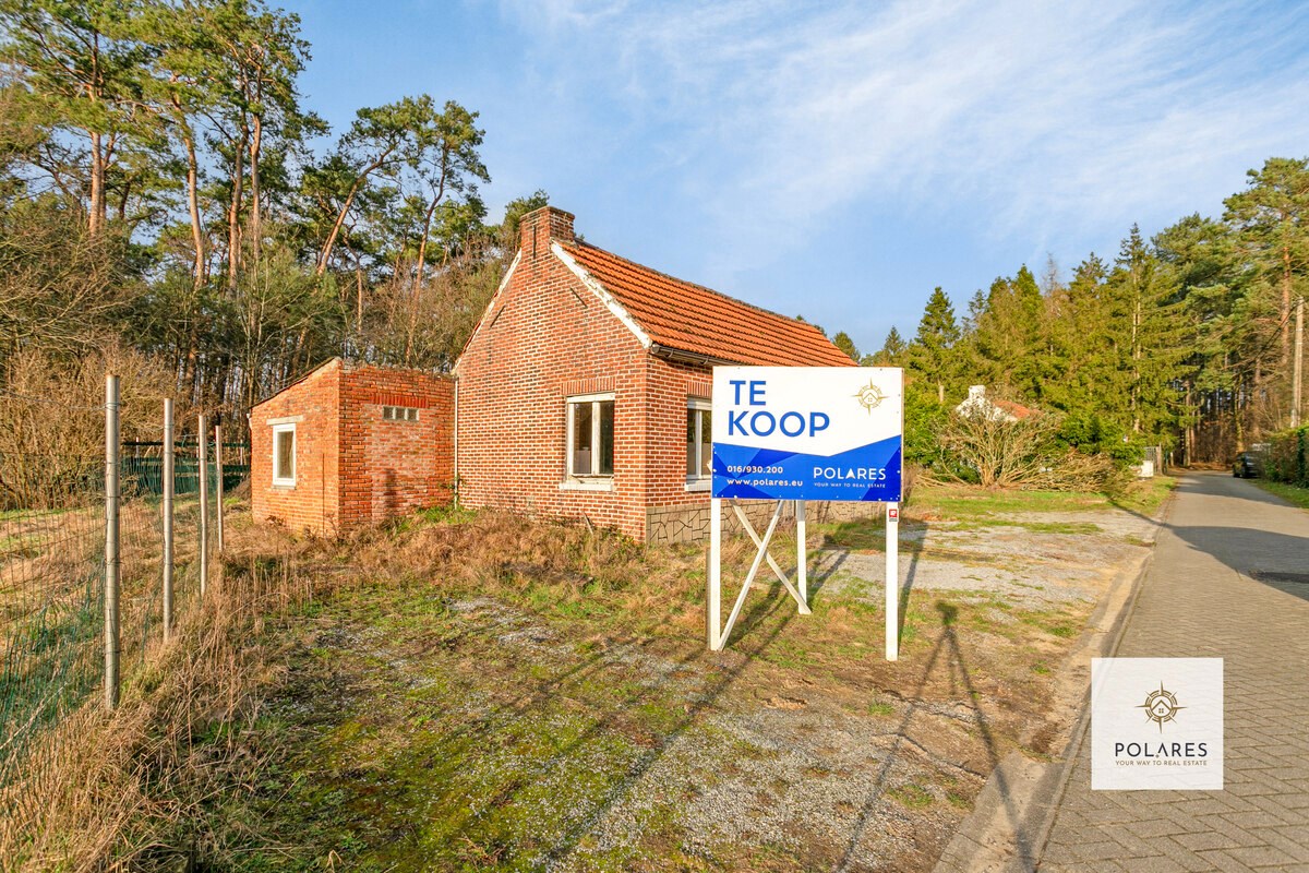Bouwen aan 6% op een grond voor open bebouwing in het bosrijke Herselt foto 1