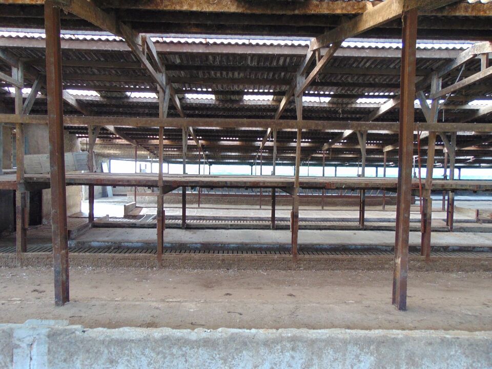 Landbouwbedrijf met stallen, mestputten en silo op ca 1.15ha foto 37