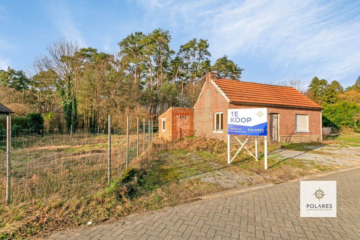 Bouwen aan 6% op een grond voor open bebouwing in het bosrijke Herselt foto 2